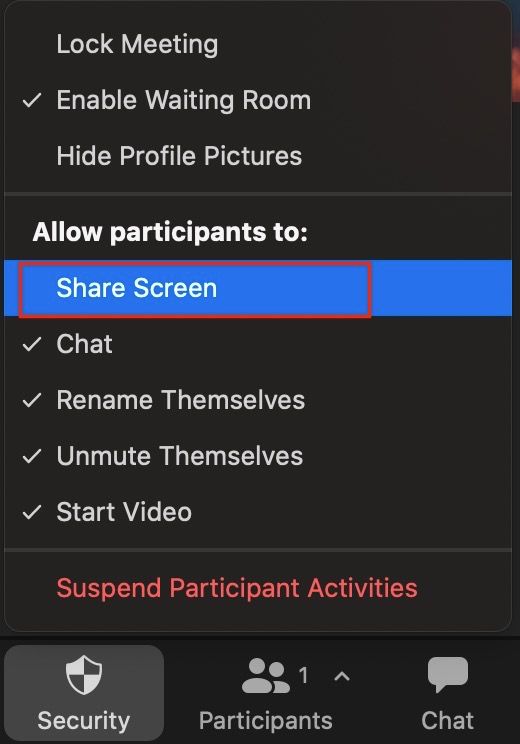 Zoom Screen Sharing How to Share My Screen on Zoom [Solved]
