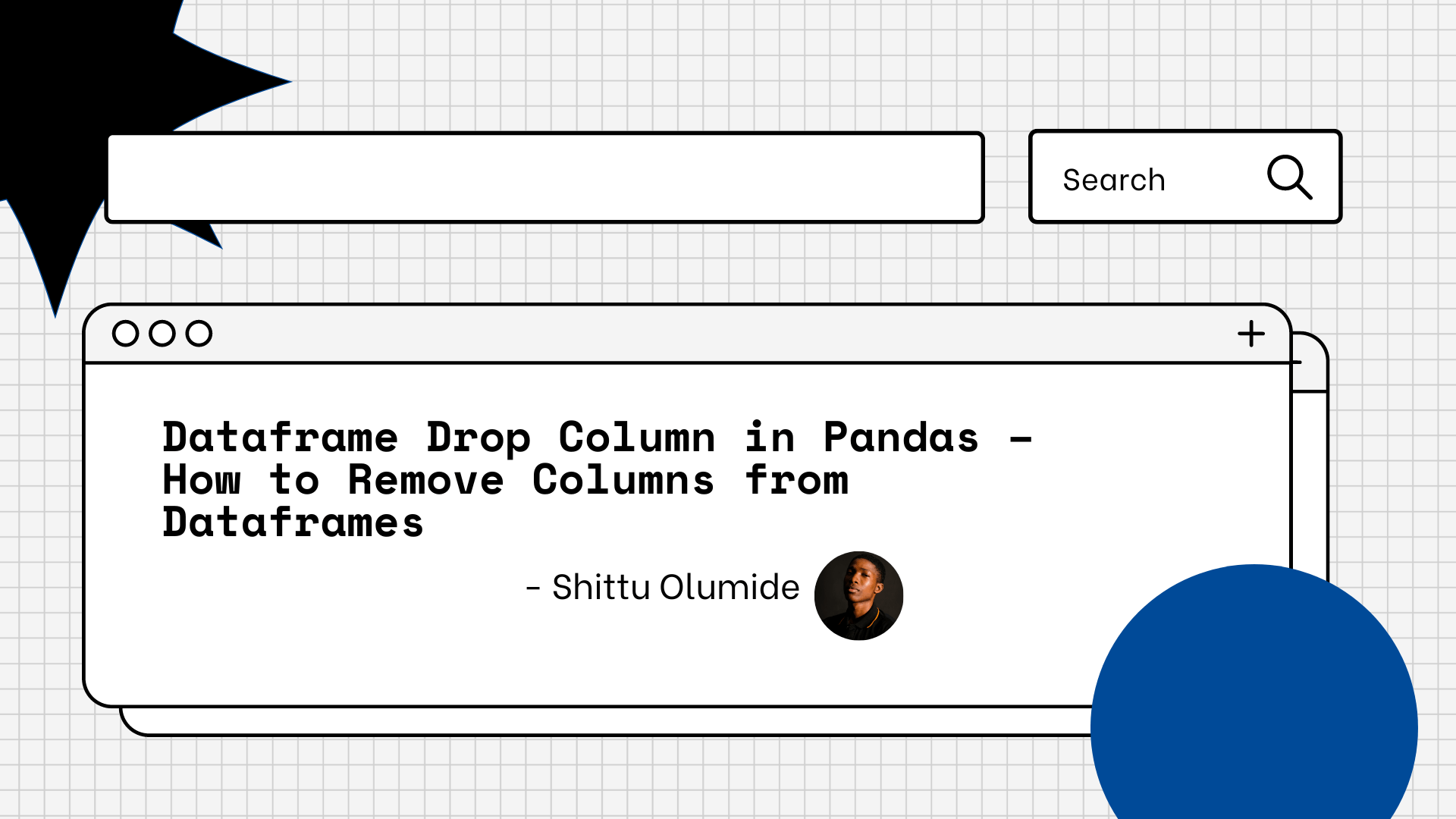 Dataframe Drop Column in Pandas How to Remove Columns from Dataframes