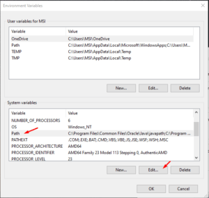 Install Ngrok on Windows