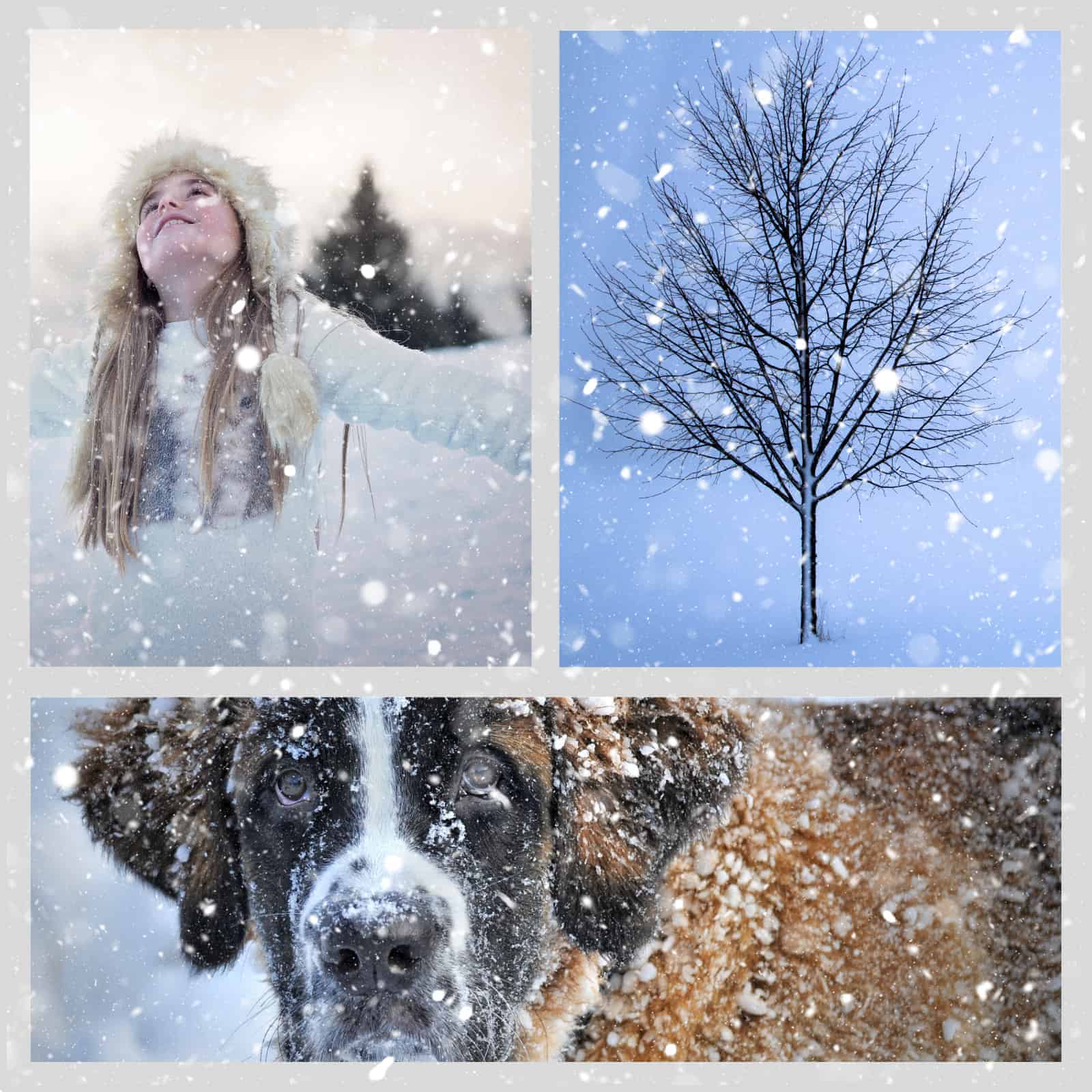 How to add a snow effect on a photo or collage Free Online App