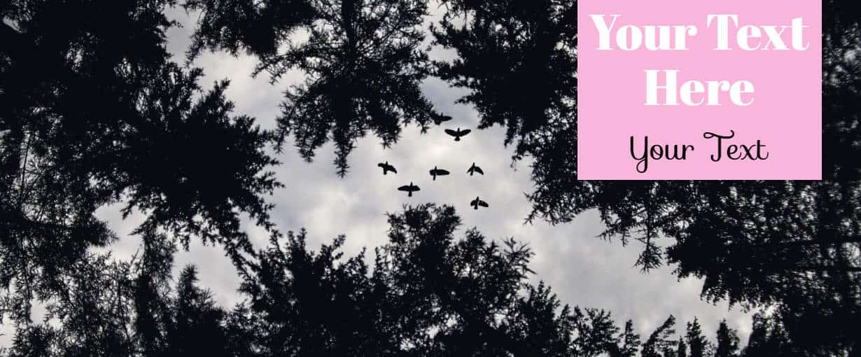 Black And White Facebook Covers