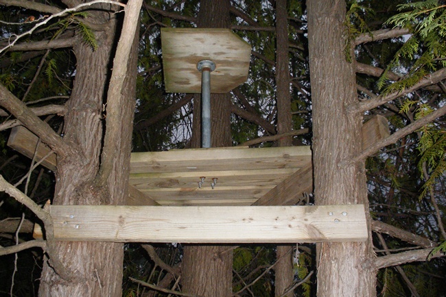 EASY Tree Deer Stand Plans