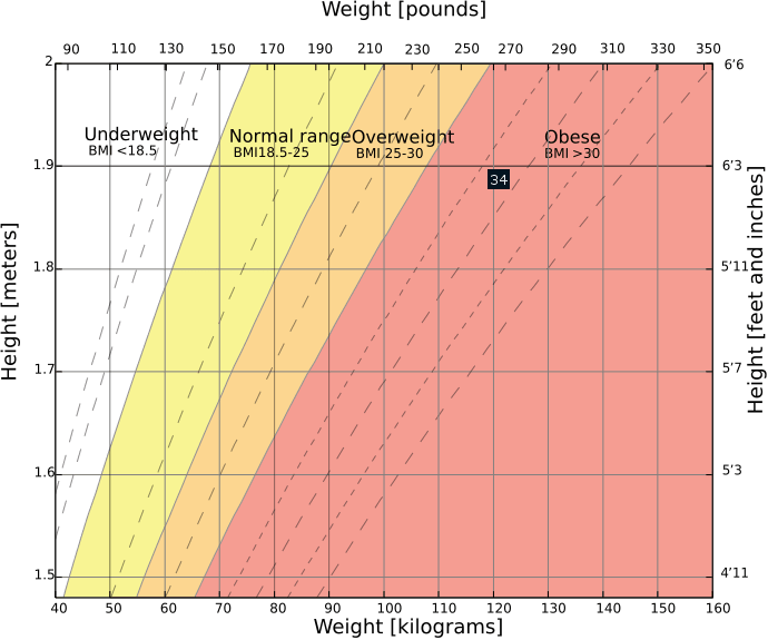15+ Bmi For Amputees Calculator AneelParisann