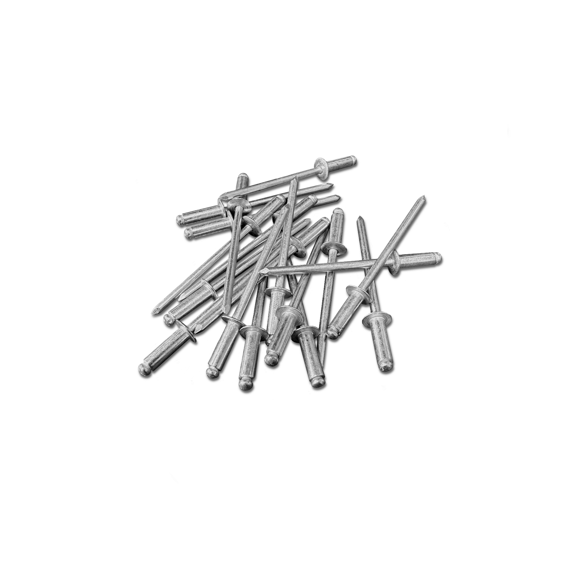 ProLine Rivets Freedom Breeder