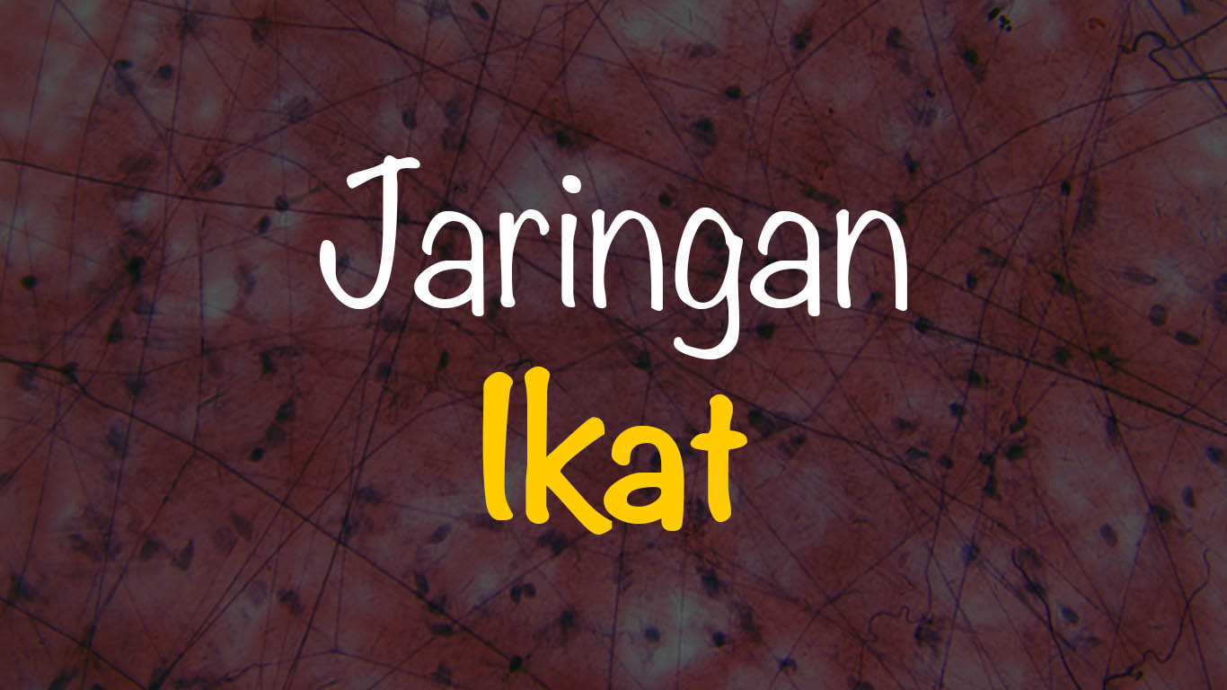 Jaringan Ikat : Pengertian, Fungsi, Struktur dan Macam | Freedomsiana