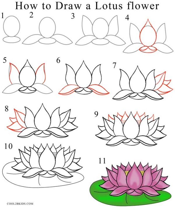 Easy Flower Designs To Draw Step By Best Flower Site