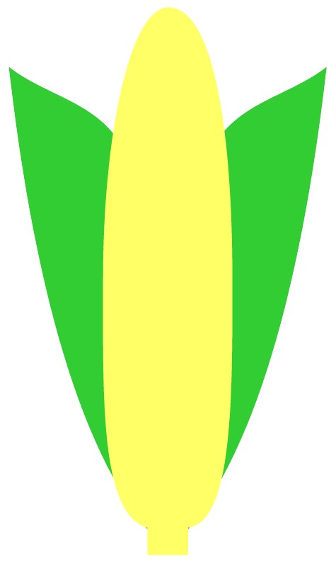 Tissue Paper Indian Corn