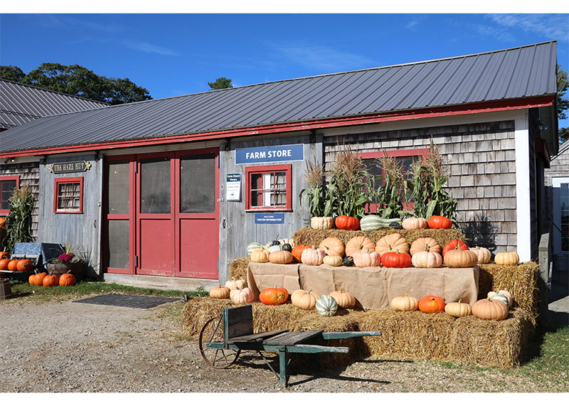 Explore Oceanfront Camping & Cabins Freeport, Maine