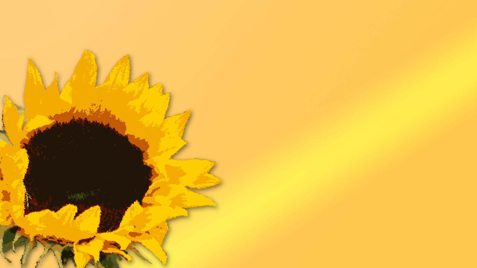 Sun Flower Presentation PPT Backgrounds, Sun Flower Presentation ppt