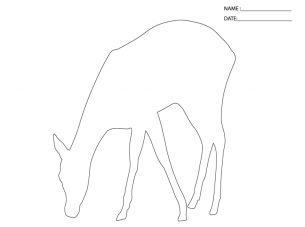 Deer Activities Templates