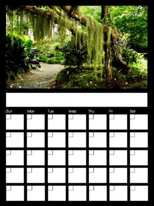 Blank July Monthly Calendars - Free Printable Online