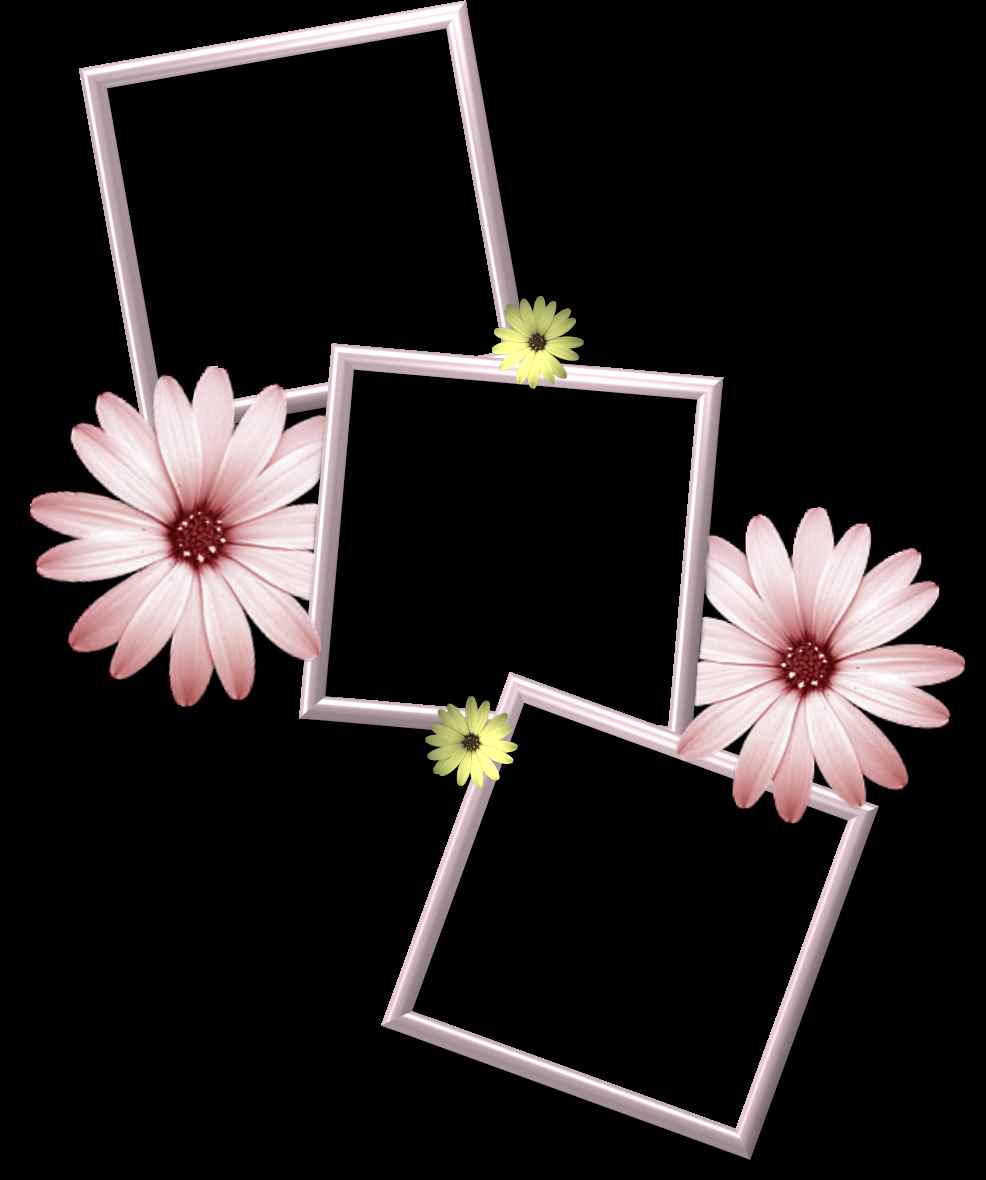 Photo Frame PNG Images Free Download