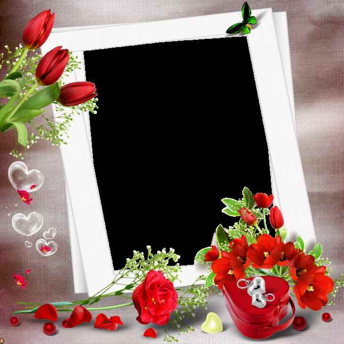 Love Photo Frames Software Free Download