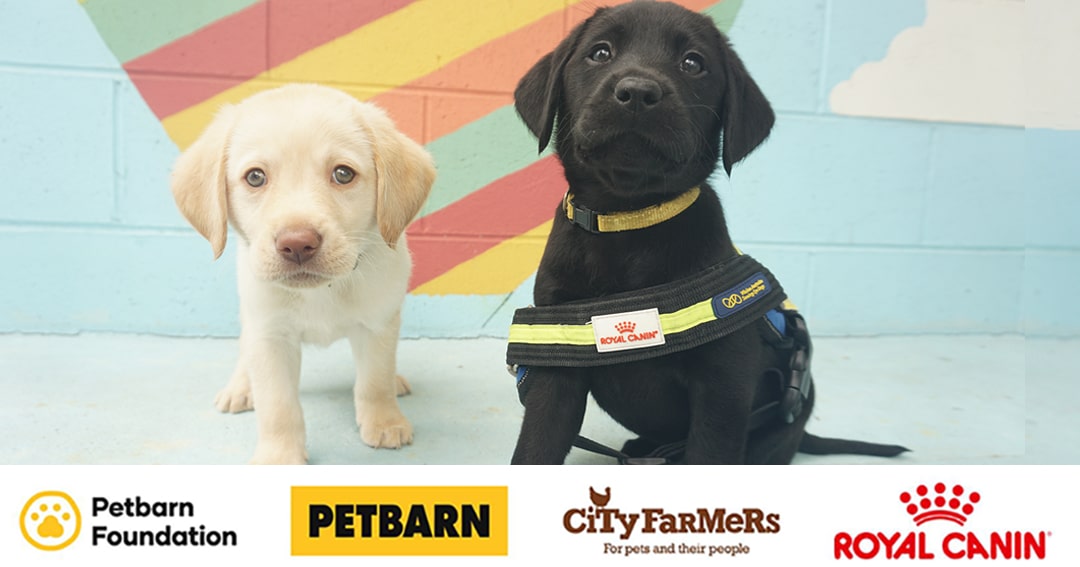 Win A 2000 Petbarn/City Farmers Voucher & 12 Months Of ROYAL CANIN Dog