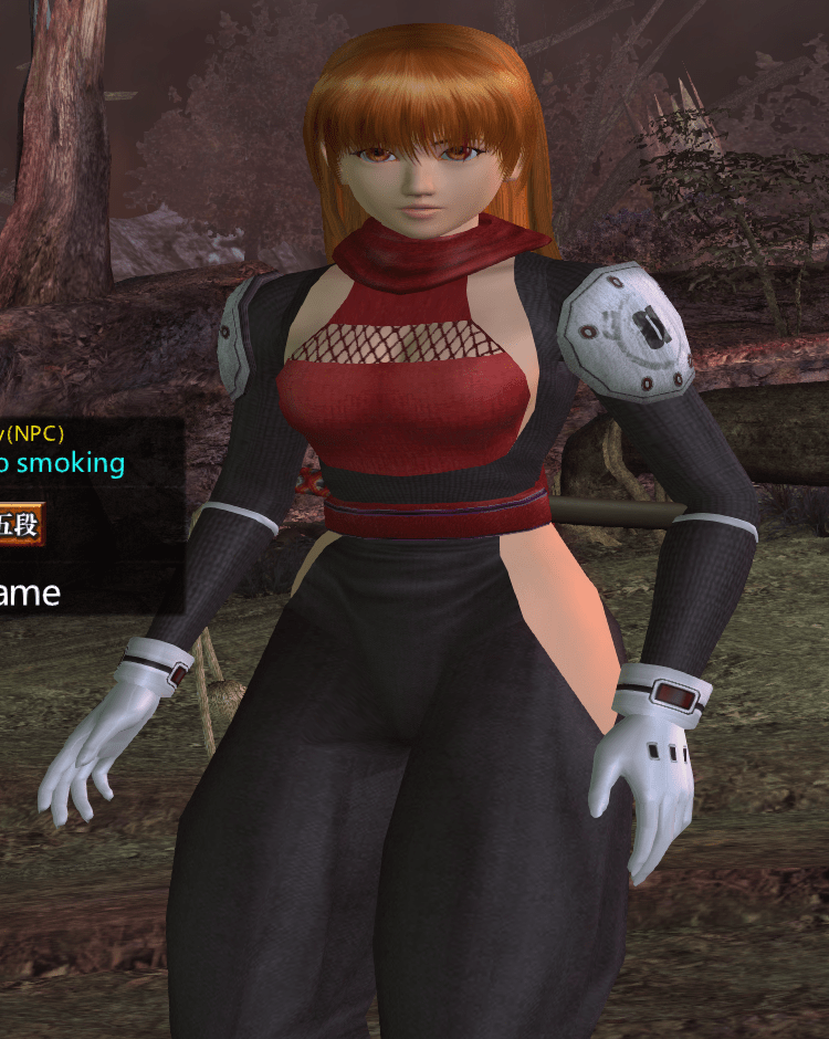 『DOA Online』『DOA2 Ultimate』Costume Mods Free Step Dodge