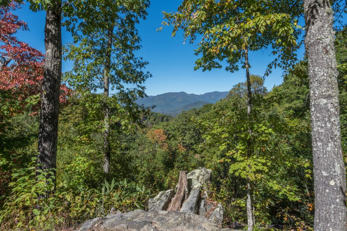 The Settings of Black Mountain, NC History, Amenities, Real Estate