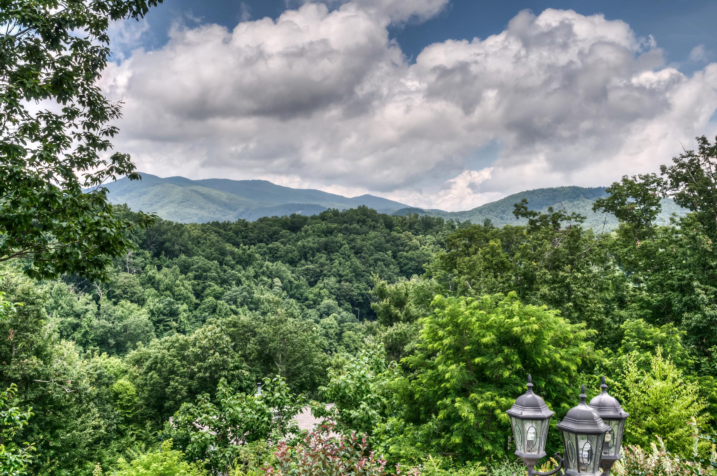 Freestone Properties Asheville & Black Mountain NC Real Estate