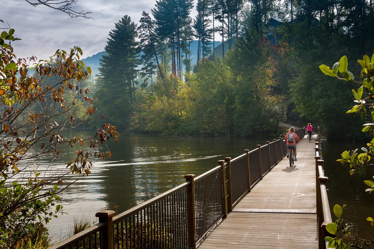 Biltmore Lake, NC Neighborhood Spotlight History, Amenities & Real