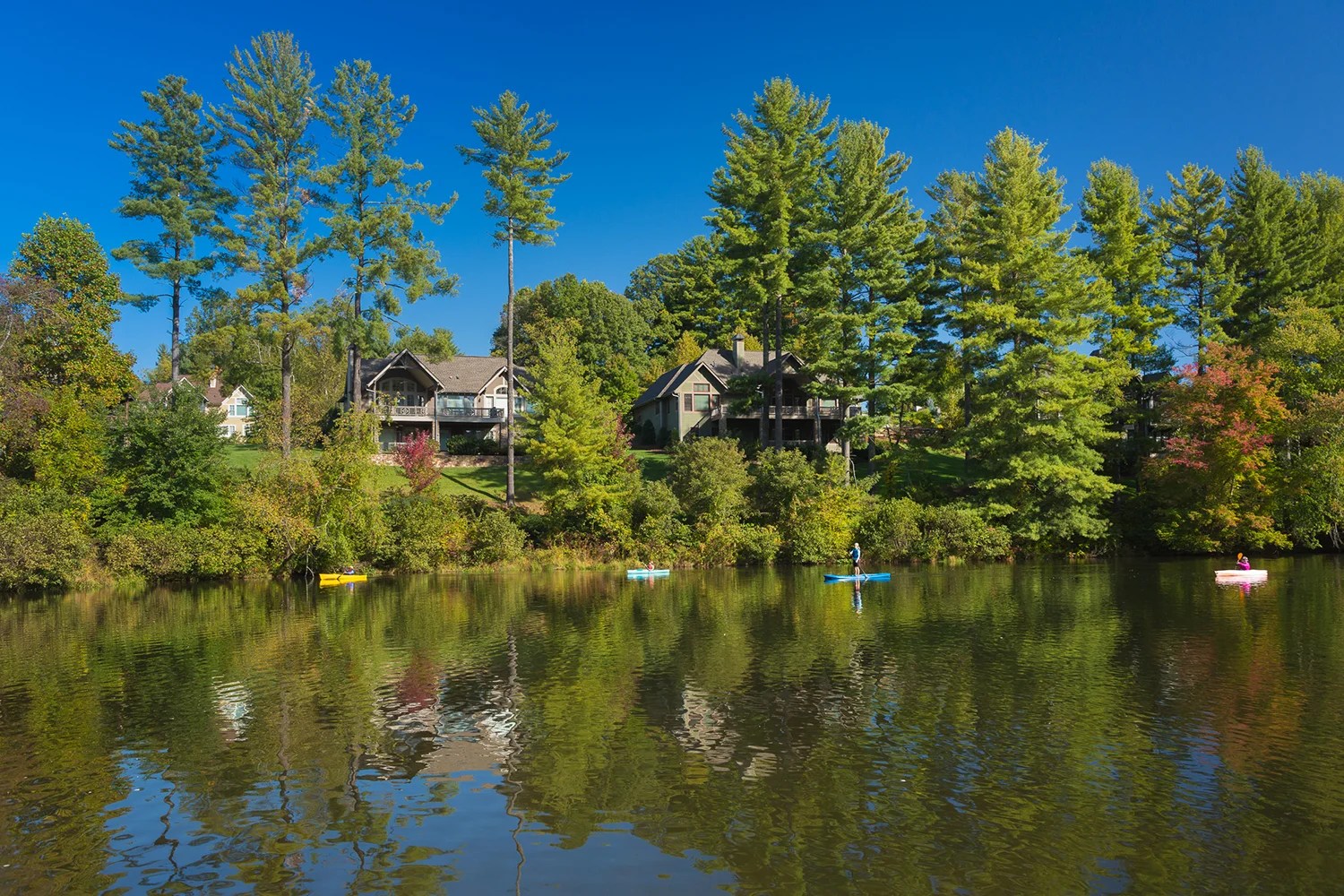 Biltmore Lake, NC Neighborhood Spotlight History, Amenities & Real