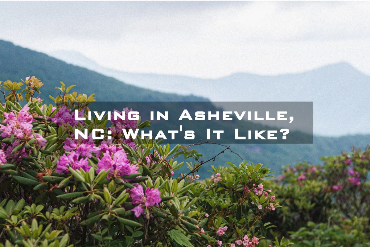 Living in Asheville, NC What’s it Like? Freestone Properties