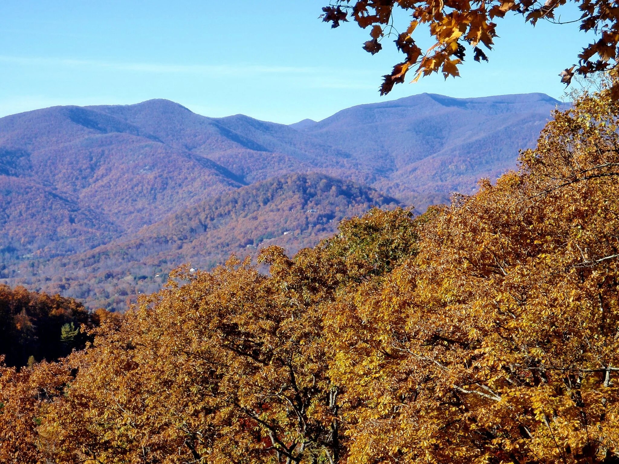 The Best Black Mountain (NC) Camping Campgrounds & RV Parks