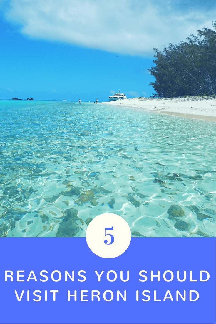 5 Reasons you should visit Heron Island Free Two Roam