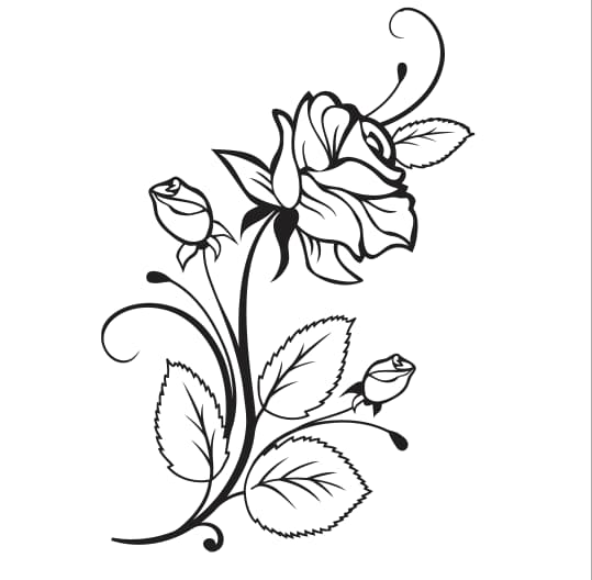 vector rose Design Free Vector Free DXF Files & Vectors Free Vector
