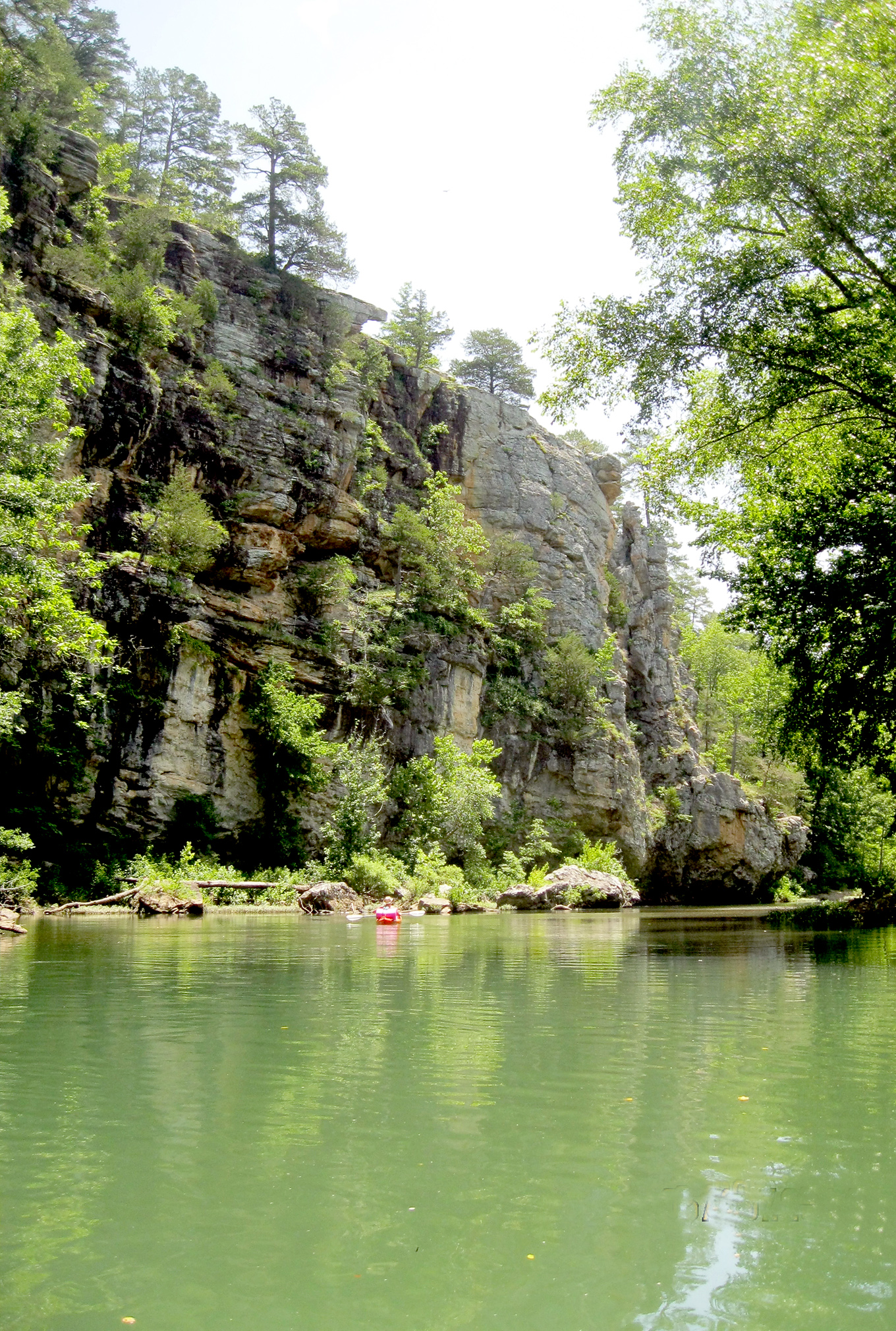 Buffalo River The River That Almost Wasn’t The Free Weekly