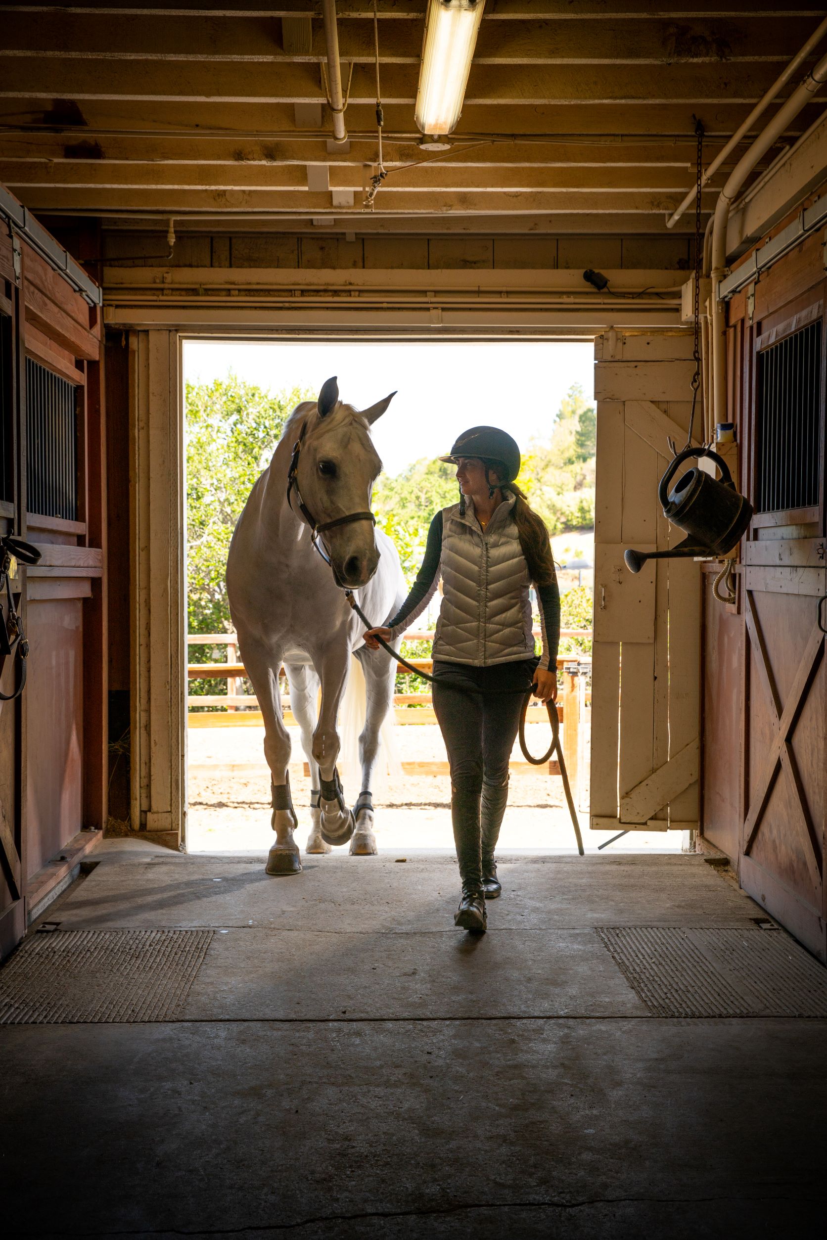 Equestrian Fremont Hills Country Club Los Altos Hills CA