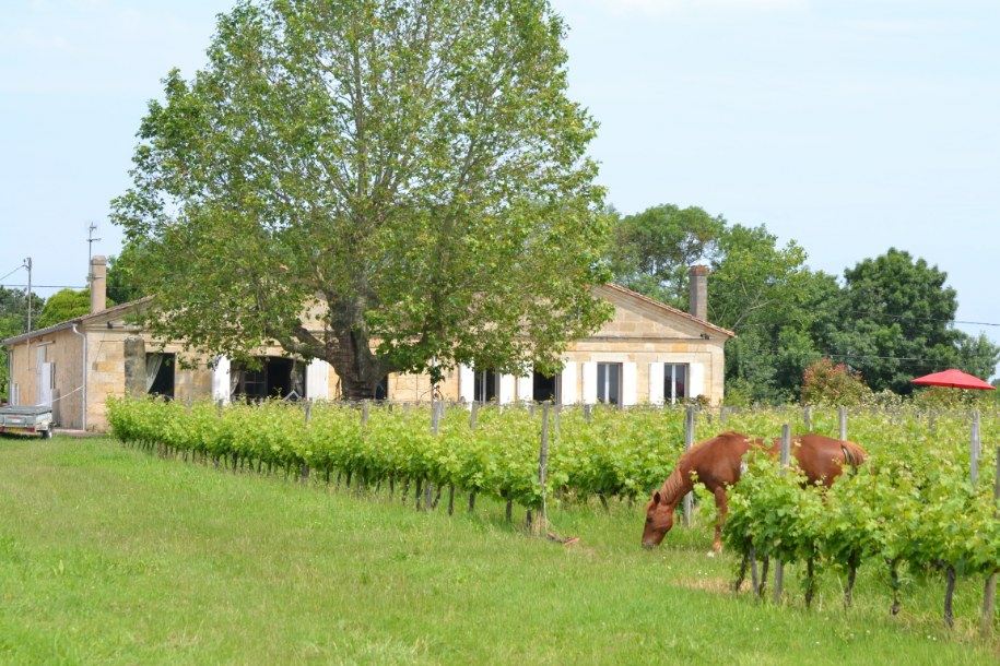 Equestrian Property For Sale Provence France at Desiree Aden blog