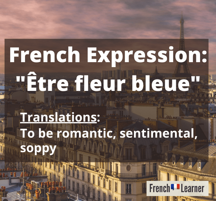Être Fleur Bleue (French Expression Meaning & Translation)