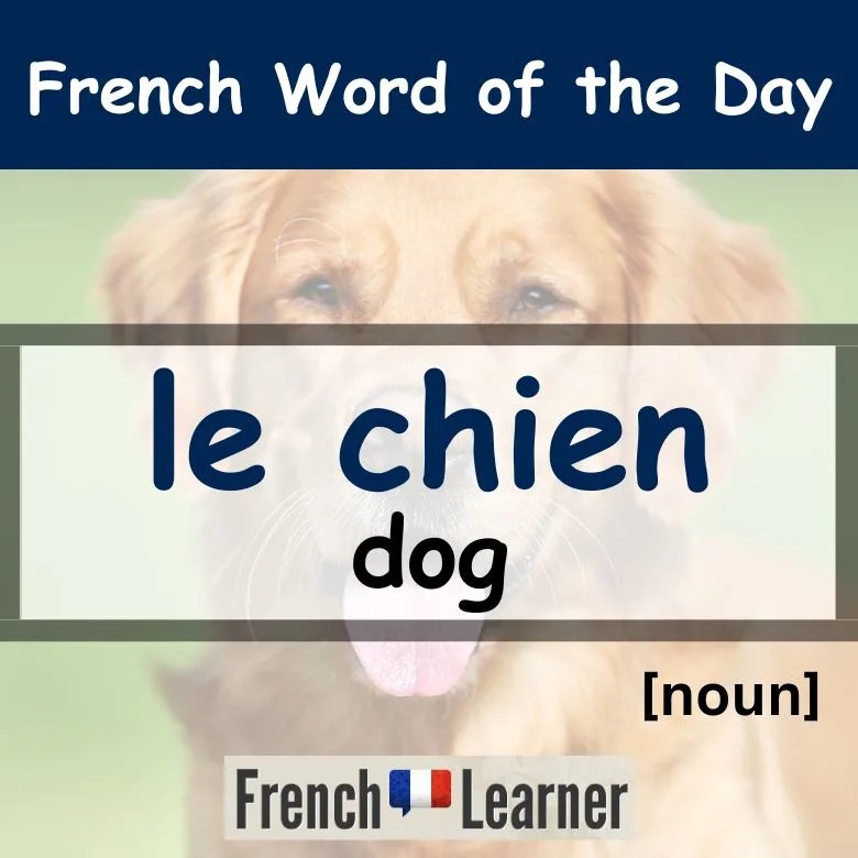 Chien Dog FrenchLearner Word of the Day Lessons