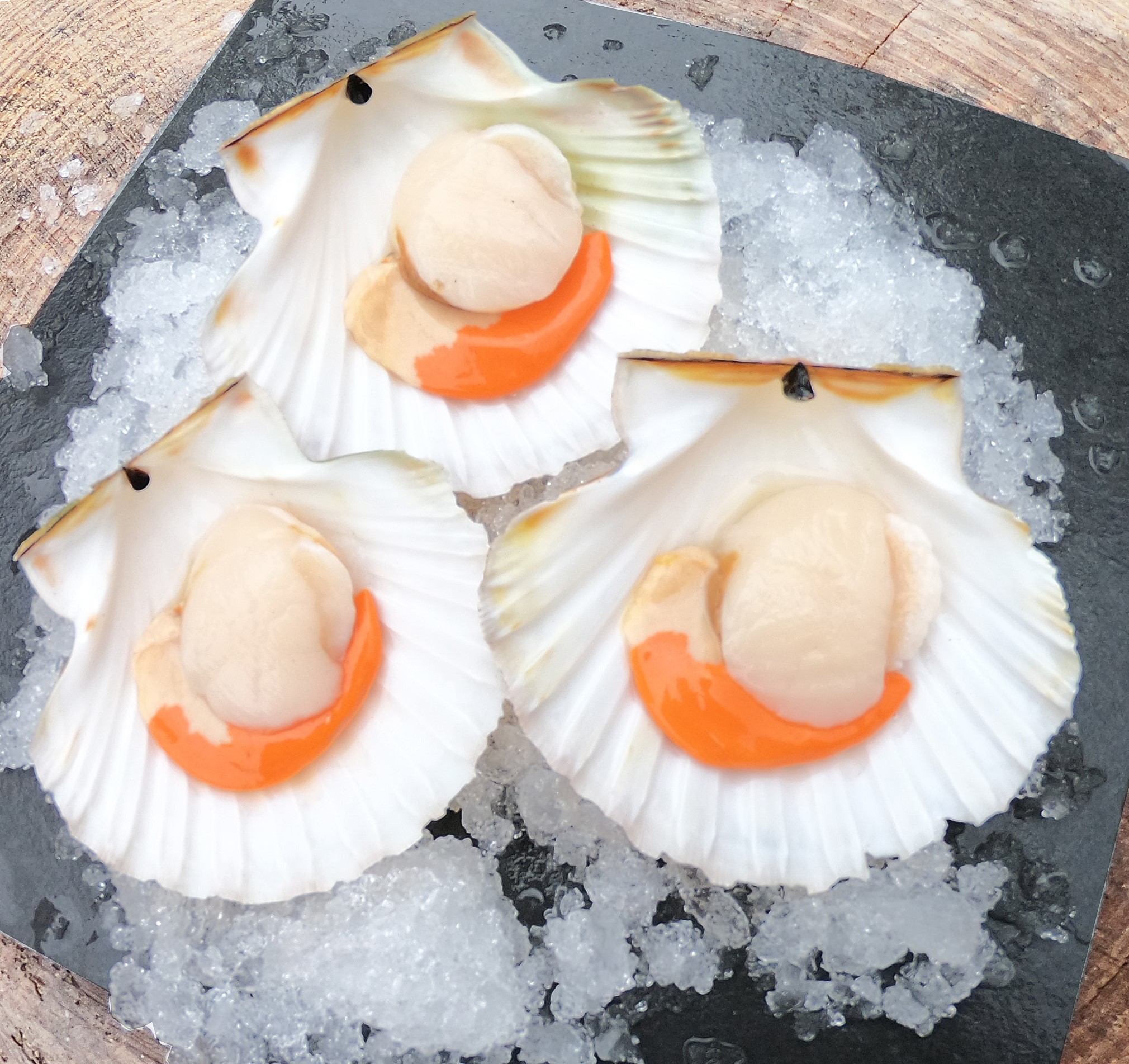 We're now selling diver caught scallops ! Blog Fresh Cornish Fish
