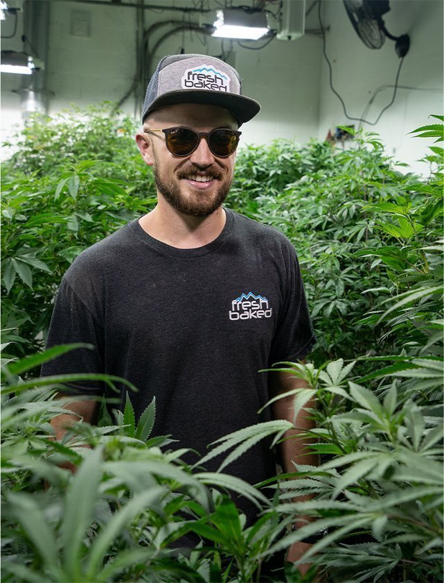 Boulder CO Recreational Dispensary A Pioneer of the Cannabis Culture