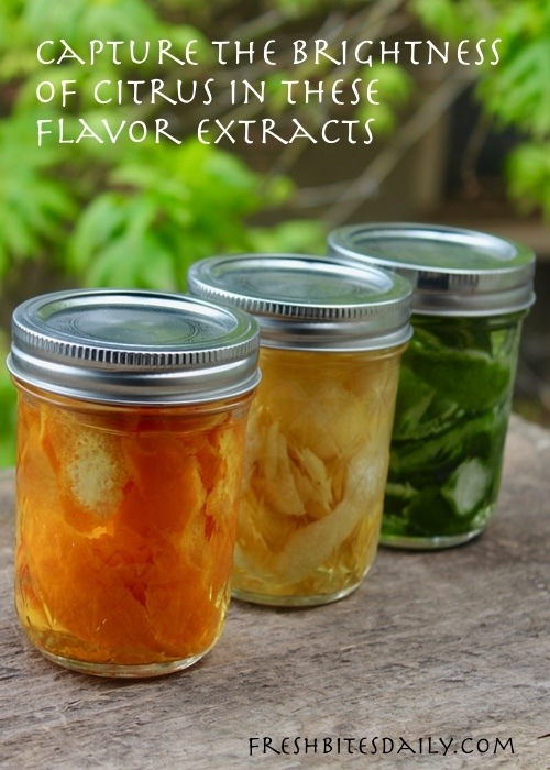 Capture the Brightness of Citrus in These Handy Citrus Extracts Fresh