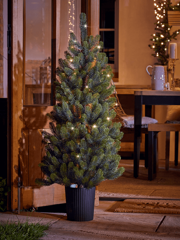 This pre-lit potted Christmas tree is suitable for use indoors or outside