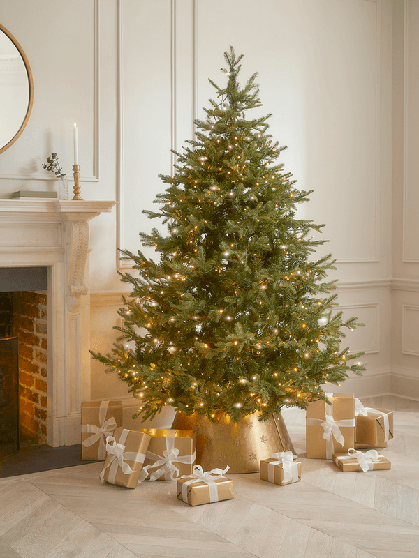 Aspen Mountain Spruce 8ft pre-lit Christmas tree from Cox & Cox