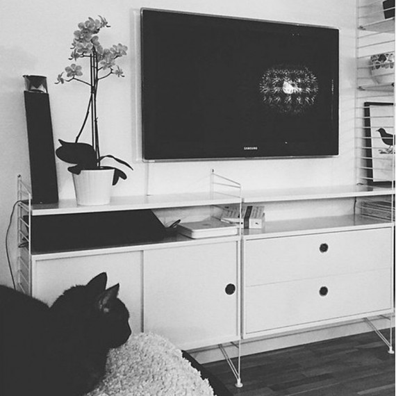 string tv möbel String System Mobile Tv
