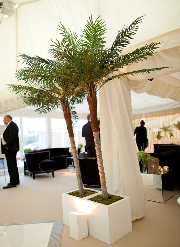 Palm Tree Fresh Event Hire