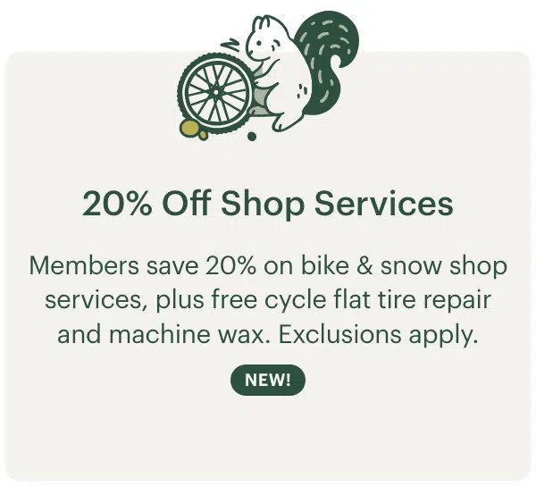 11 Benefits of REI Membership camper