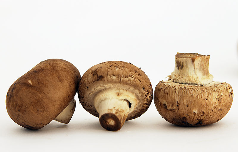 FreshPoint Mushrooms, Crimini