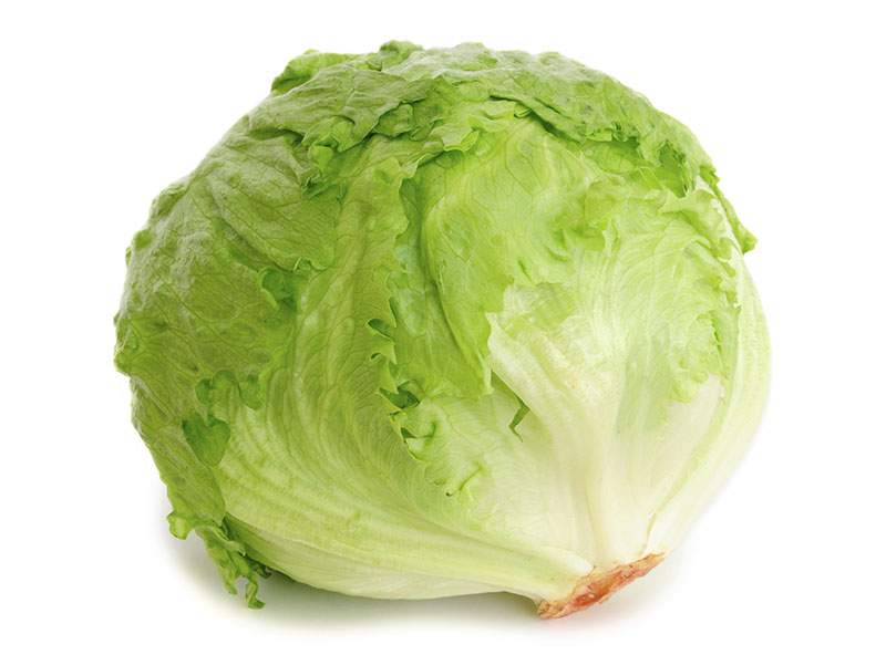 Crisphead Lettuce