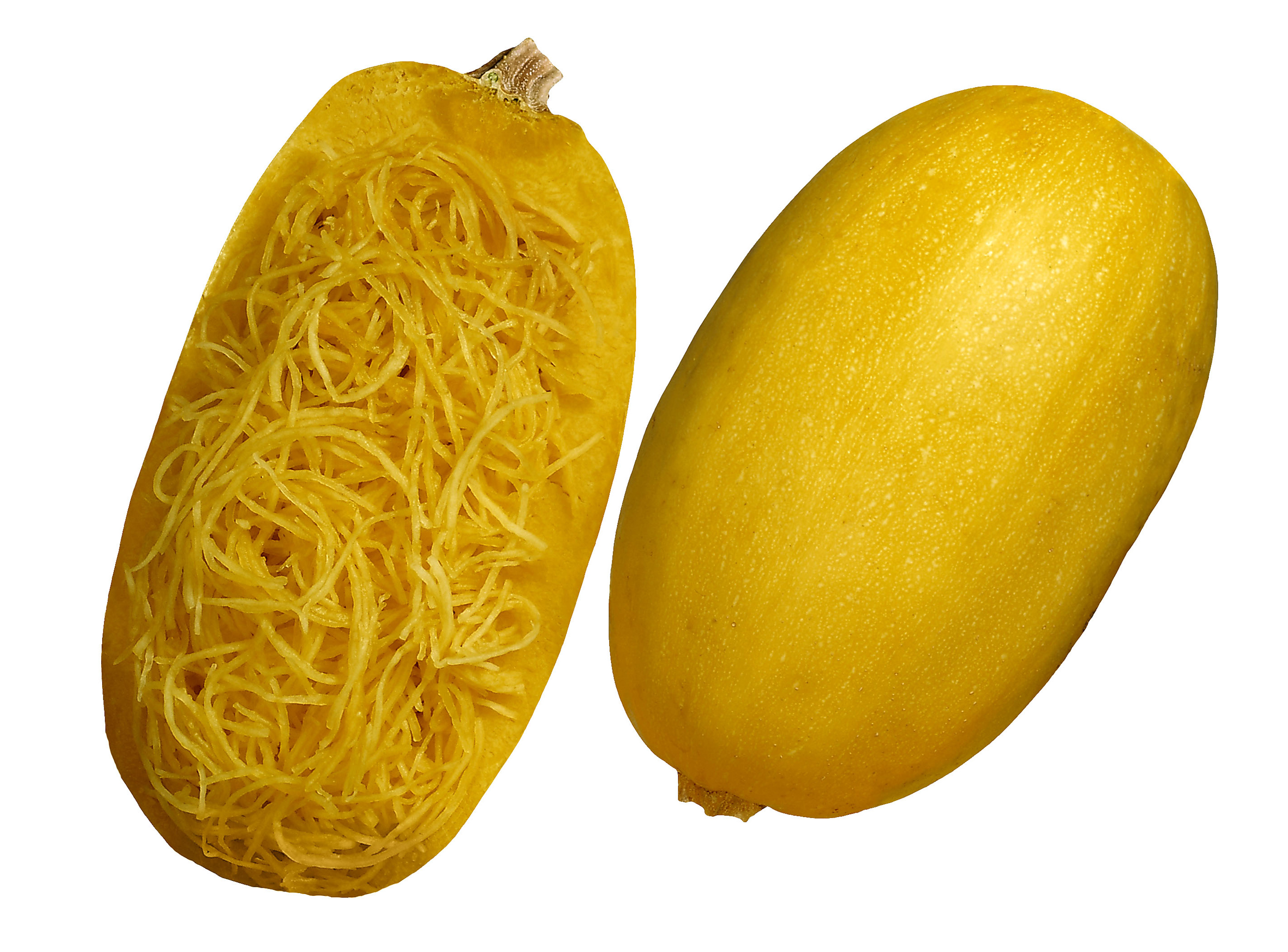 FreshPoint Squash, Spaghetti