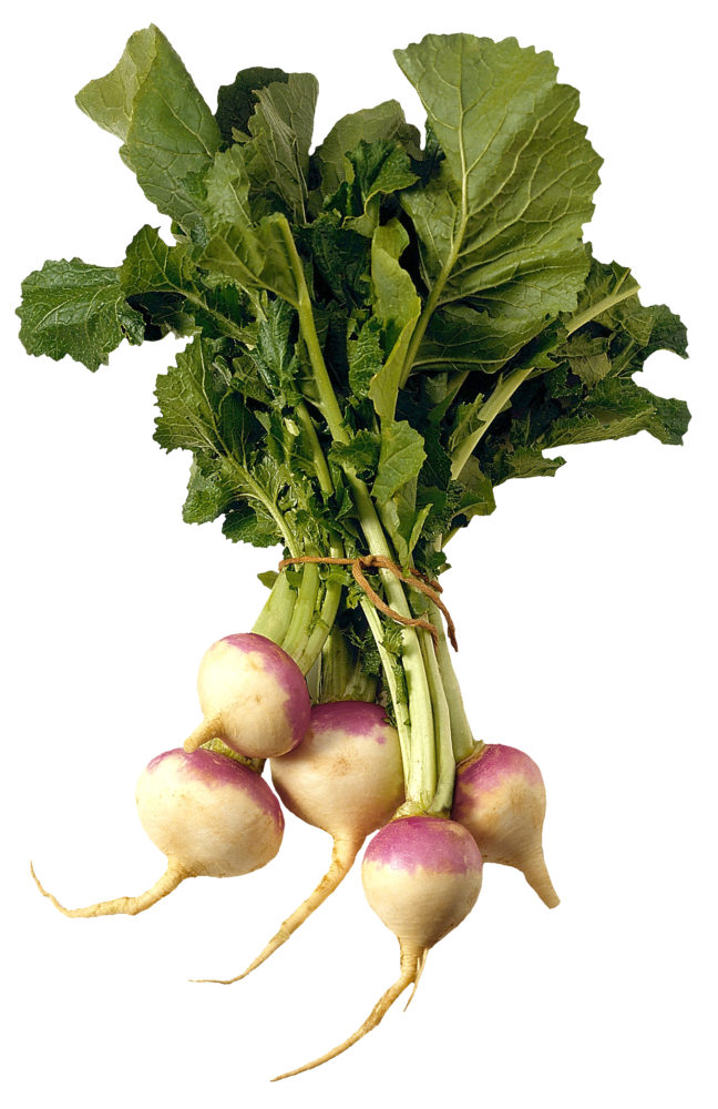 FreshPoint Turnips
