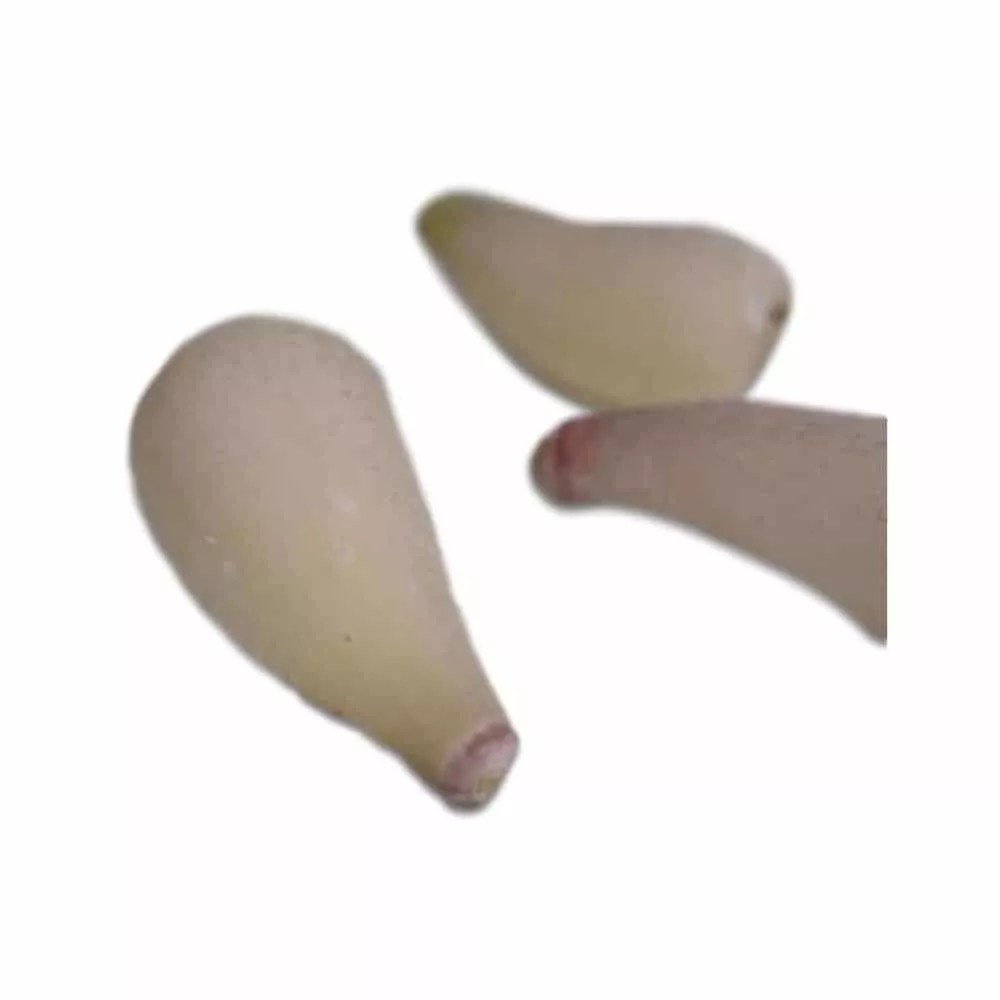 Buy Ramp Bulbs Frozen Fresh & Wild