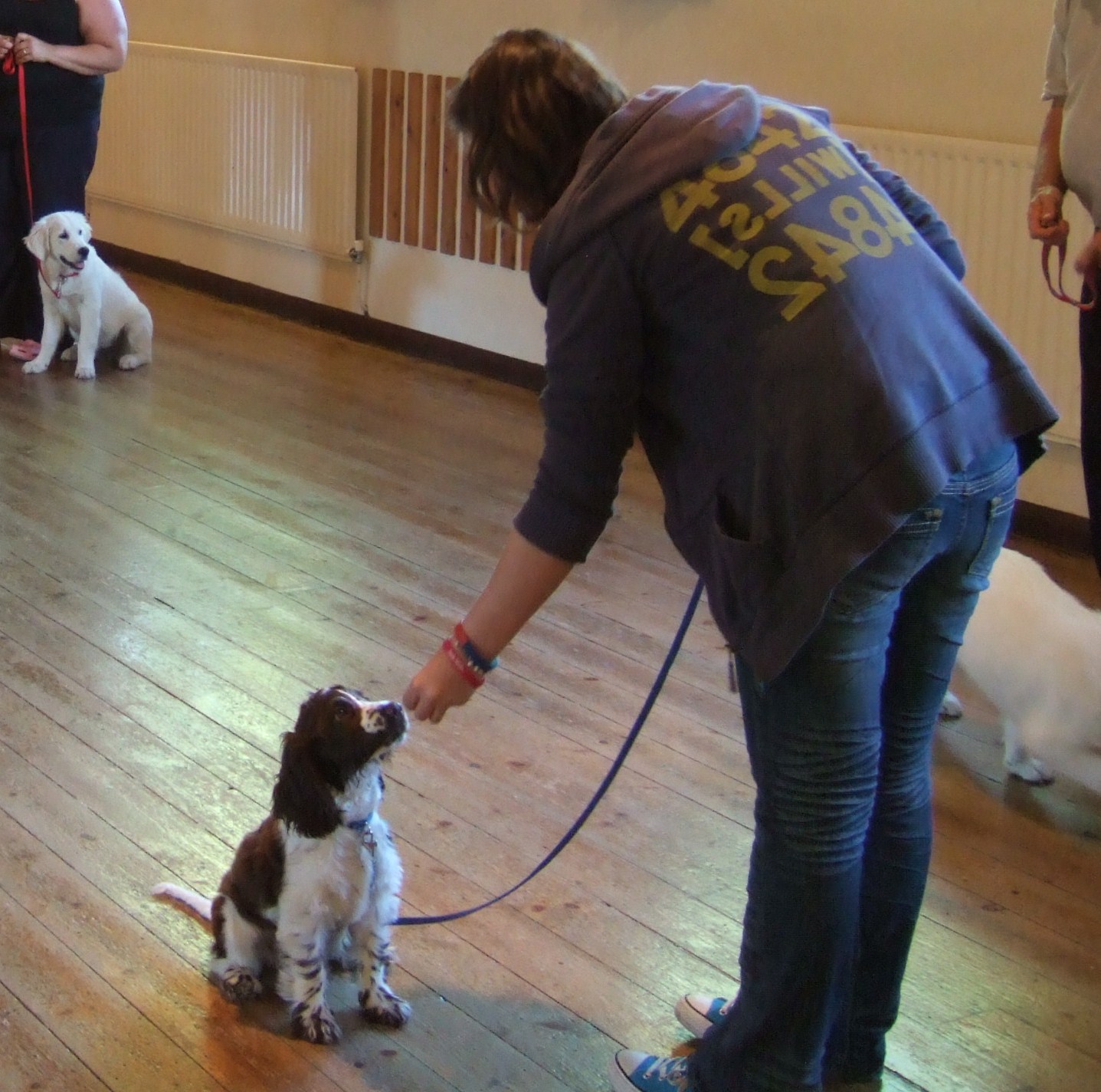 Puppy Training And Socialisation Classes Near Me Ruff Hounds Puppy