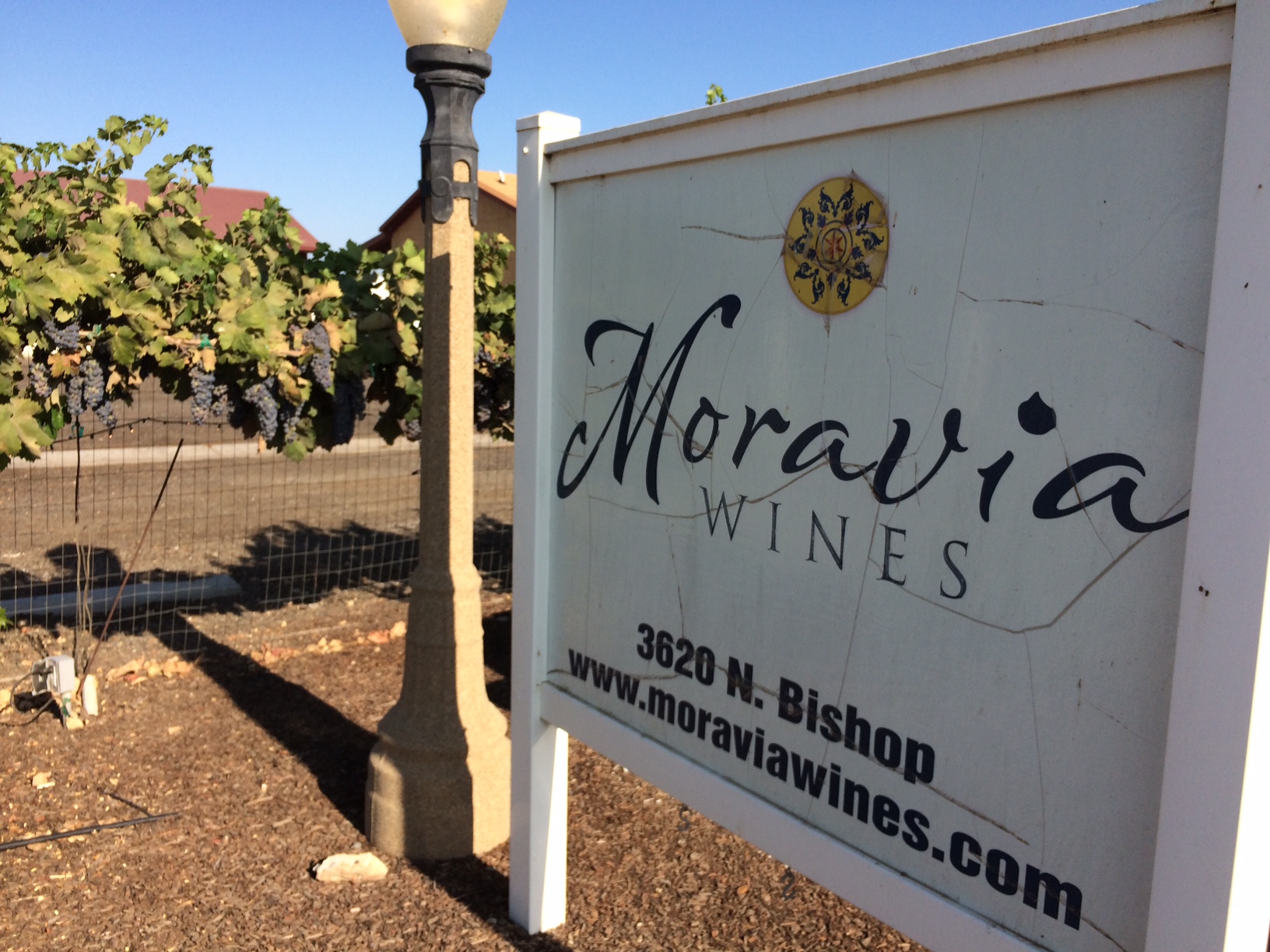 Moravia Winery is a good time for both kids and adults FresYes!