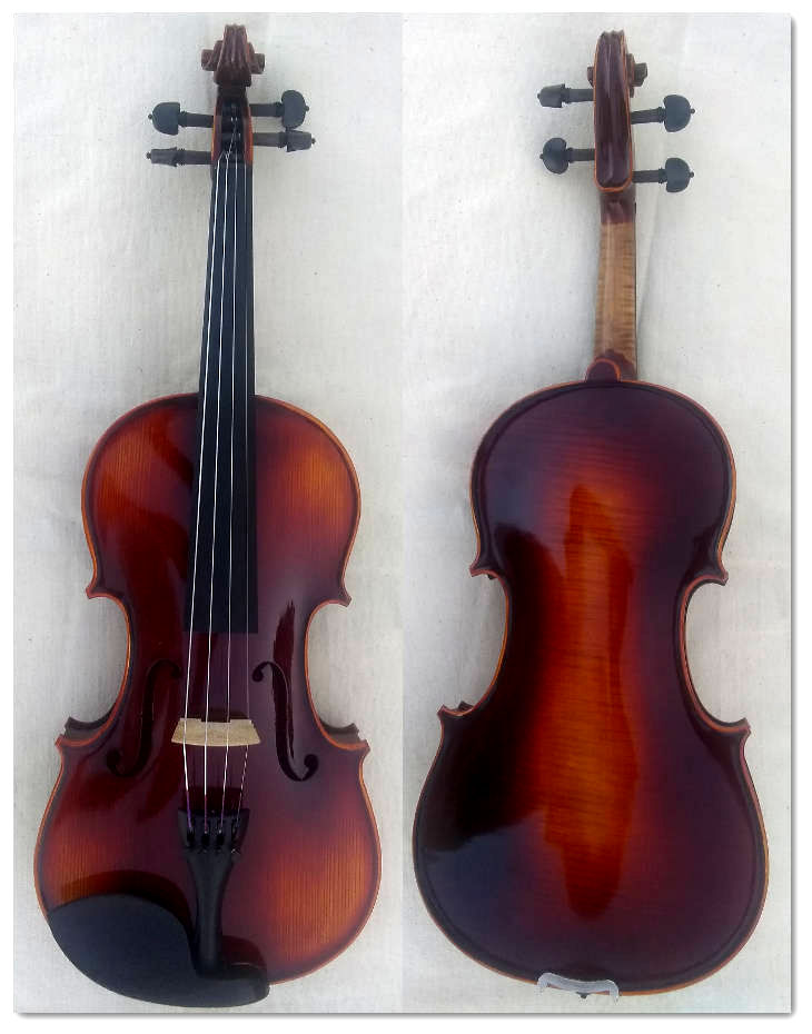 New Fretted Acoustic Violins