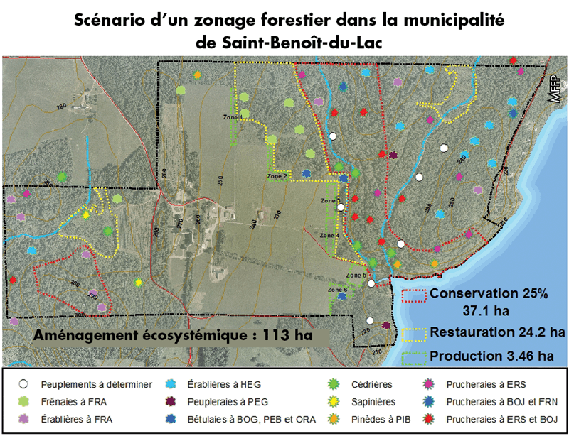 Évaluation d’un scénario de zonage forestier pour la municipalité de