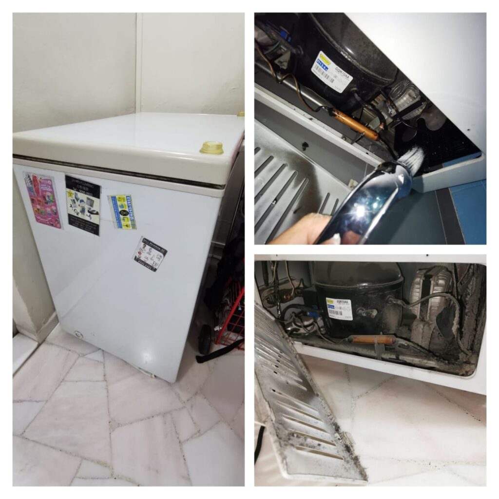 Chest Freezer Checking Fridge Repair Service